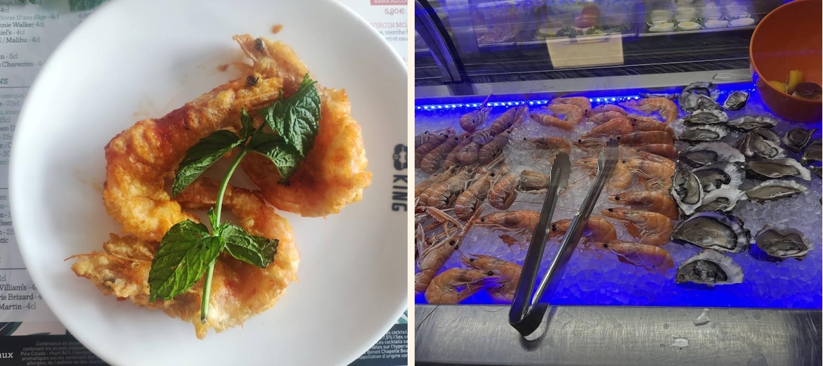 Panda King - Gallery Image 2